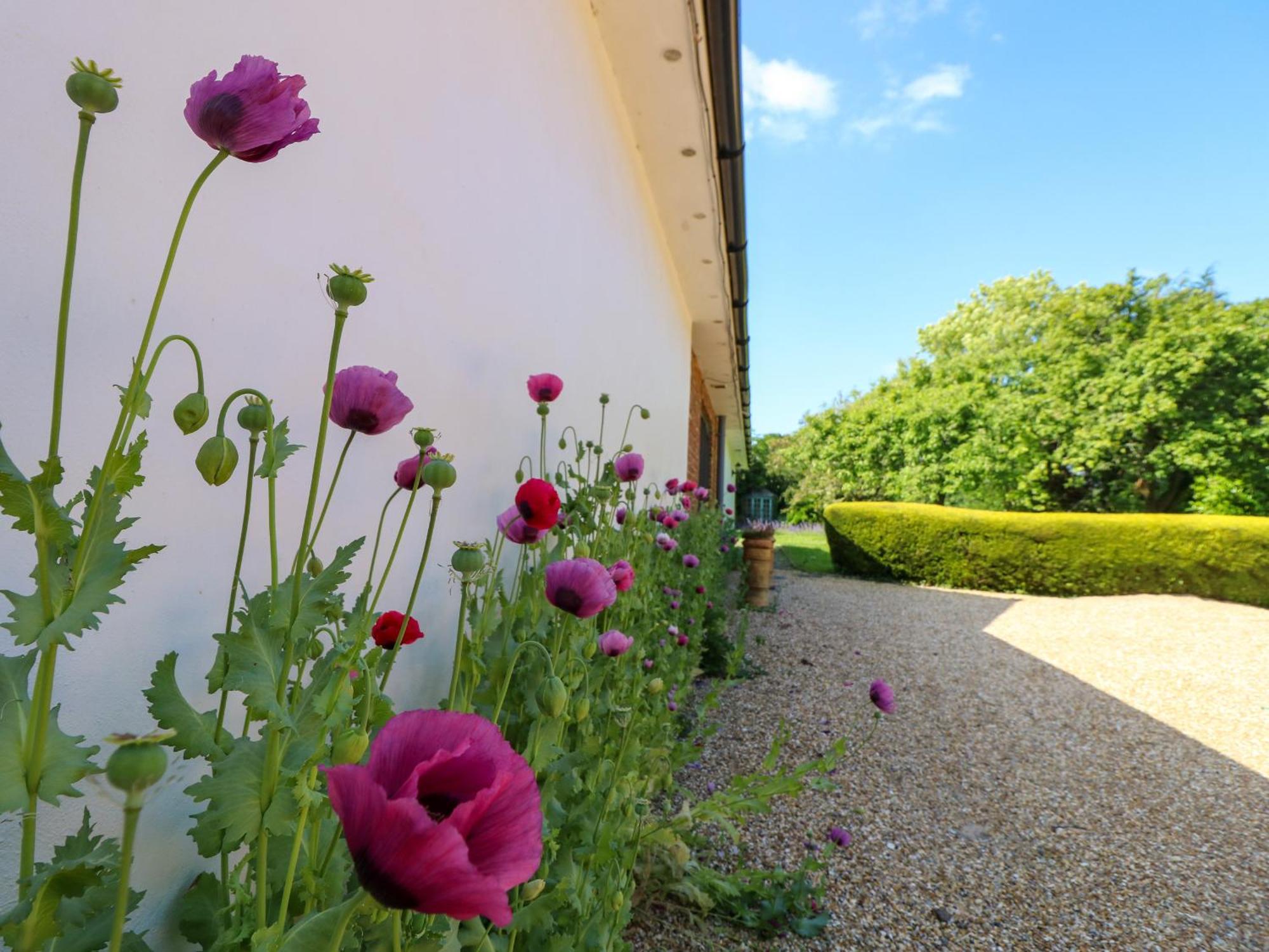 Villa The Coach House Ryde  Exterior foto